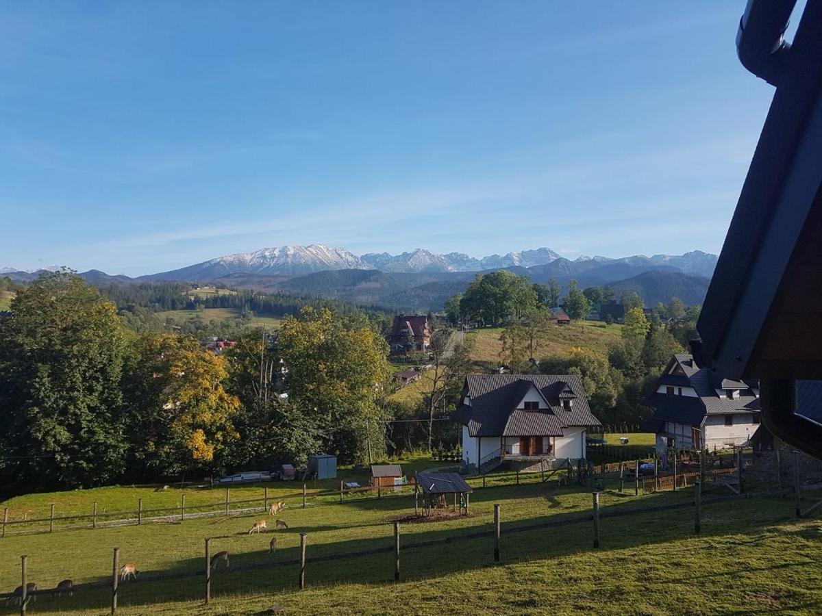 Apartamenty Gorska Mila Apartzakop Zakopane Exterior foto